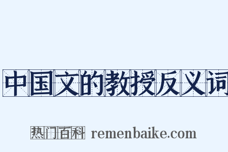 中国文的教授反义词是什么意思的图片
